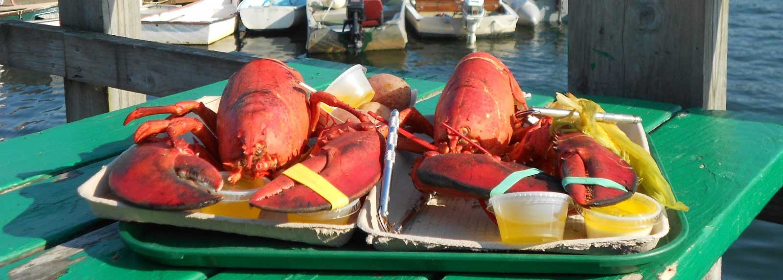 Five Island Lobster Co